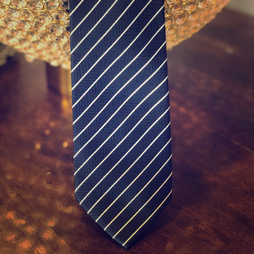 Mila Schon 100% Silk Tie